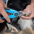 Load image into Gallery viewer, LED Clippers With Nail File