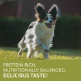 Load image into Gallery viewer, ACANA Small Breed Dry Dog Food | Adult