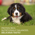 Load image into Gallery viewer, ACANA Puppy Large Breed Recipe Dry Dog Food