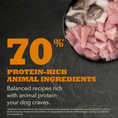Load image into Gallery viewer, ACANA Puppy Large Breed Recipe Dry Dog Food