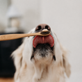 Load image into Gallery viewer, Bamboo Toothbrush