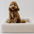 Load image into Gallery viewer, Bambi Bouclé Bed