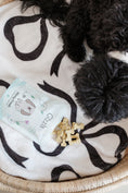 Load image into Gallery viewer, Minty Fresh Peanut Butter & Mint Dog Treats