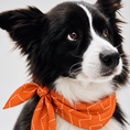 Load image into Gallery viewer, Twilly Cotton Scarf | Dotted Rust
