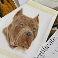 Load image into Gallery viewer, Pets by Mills Cane Corso pencil portrait with branded card and certificate of authenticity