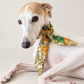 Load image into Gallery viewer, Twilly Cotton Scarf | Safari Club