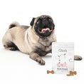 Load image into Gallery viewer, Pug with Gizzls Sweet Dreams peanut butter and chamomile dog treats