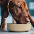 Load image into Gallery viewer, Natural Handmade Ceramic Dog Bowl