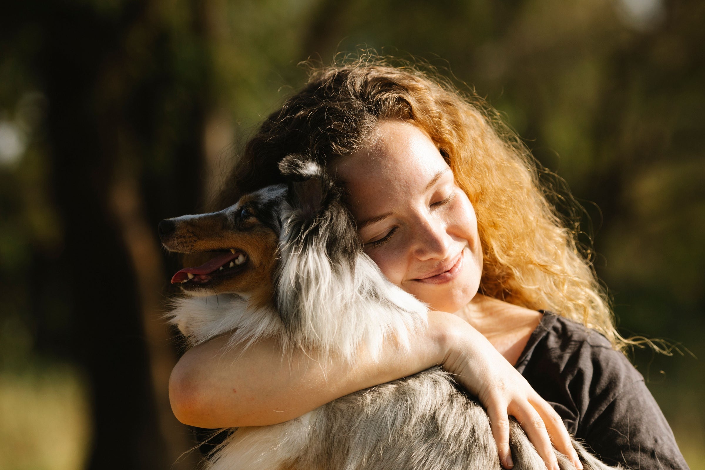 How to Choose the Right Pet Sitter for Your Pet