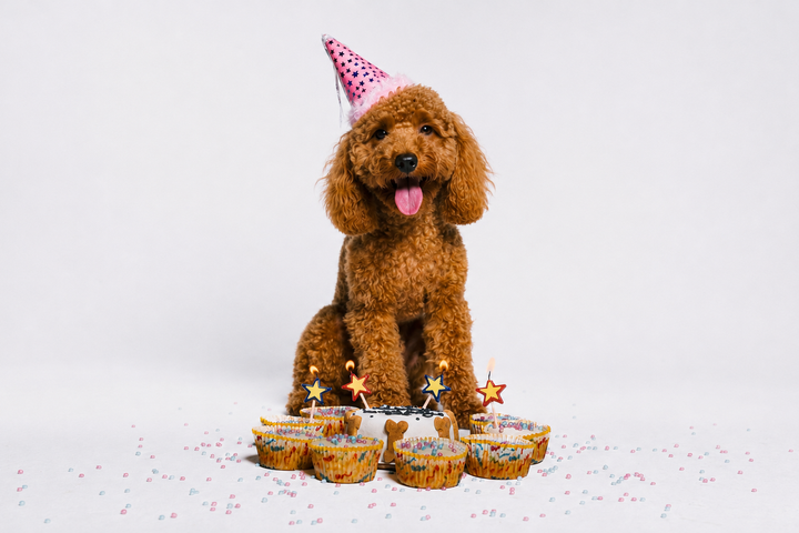 Birthday Shop
