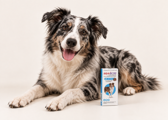 Tick, Flea & Deworming