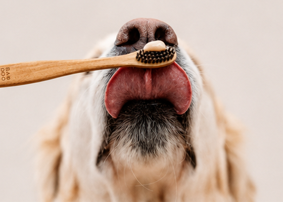 Oral Care