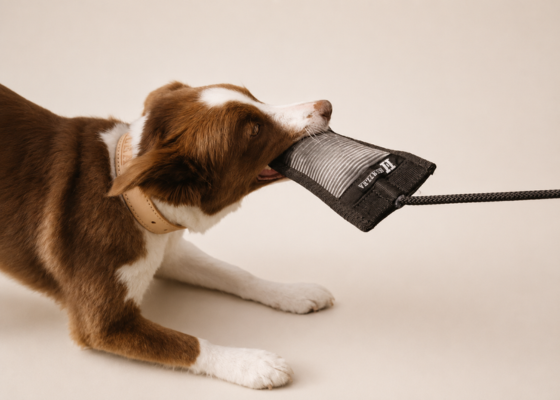 Dog Toys