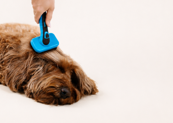 Grooming Products