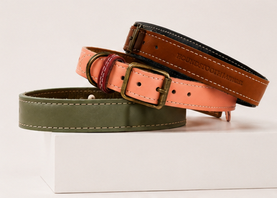 Collars & Leads