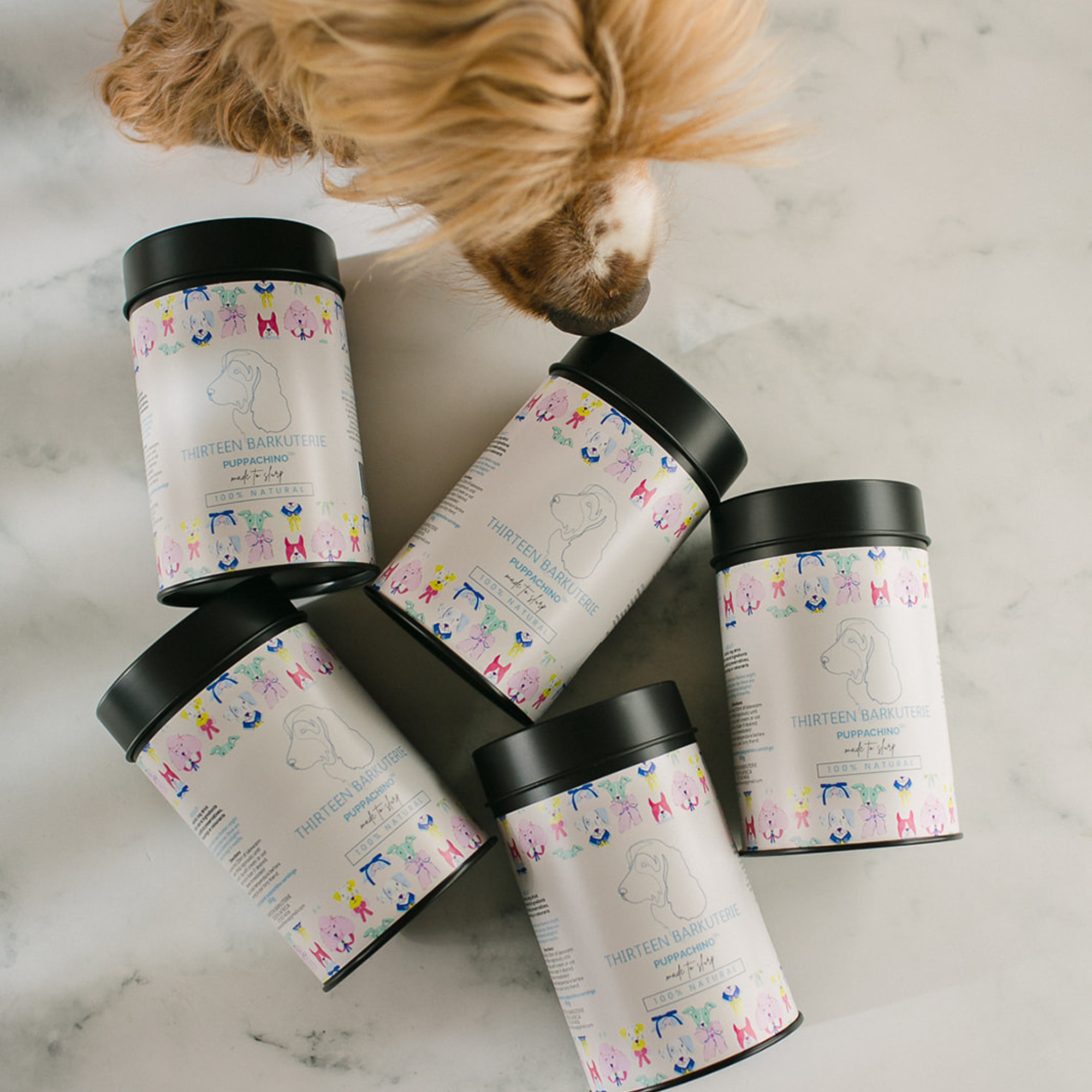 Puppachino