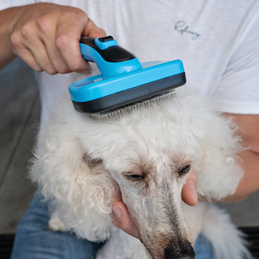 Self Cleaning Slick Brush