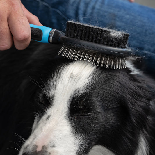 Multi-Purpose Brush