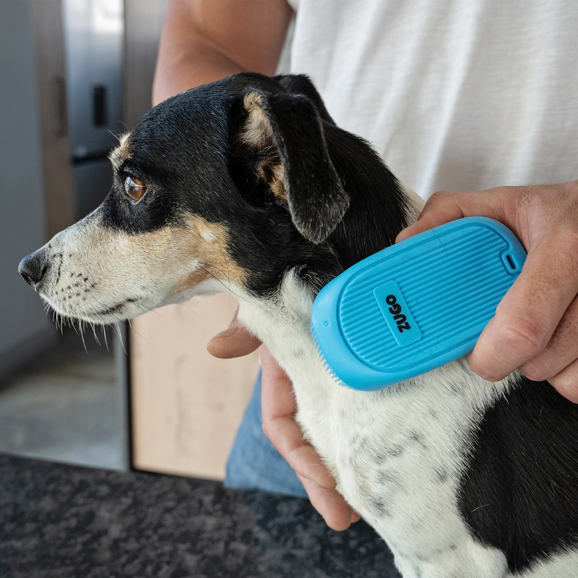 Massage Brush Long Bristle