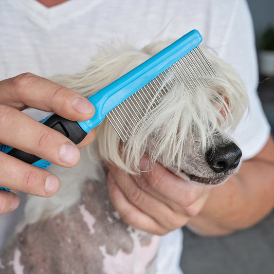 Comb