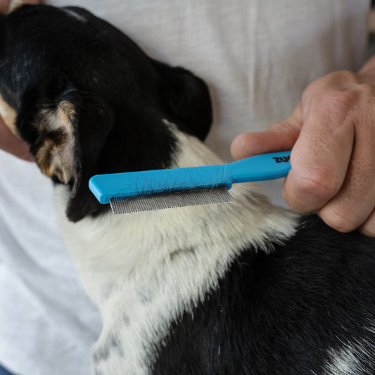Flea Comb
