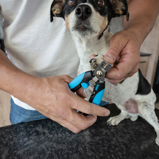 Clippers