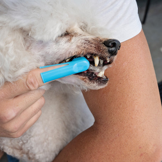 Finger Tooth Brush