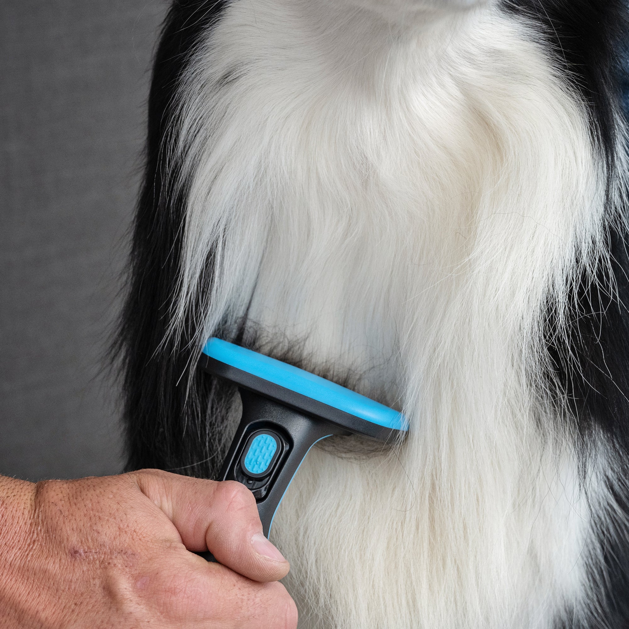 Deshedding Brush