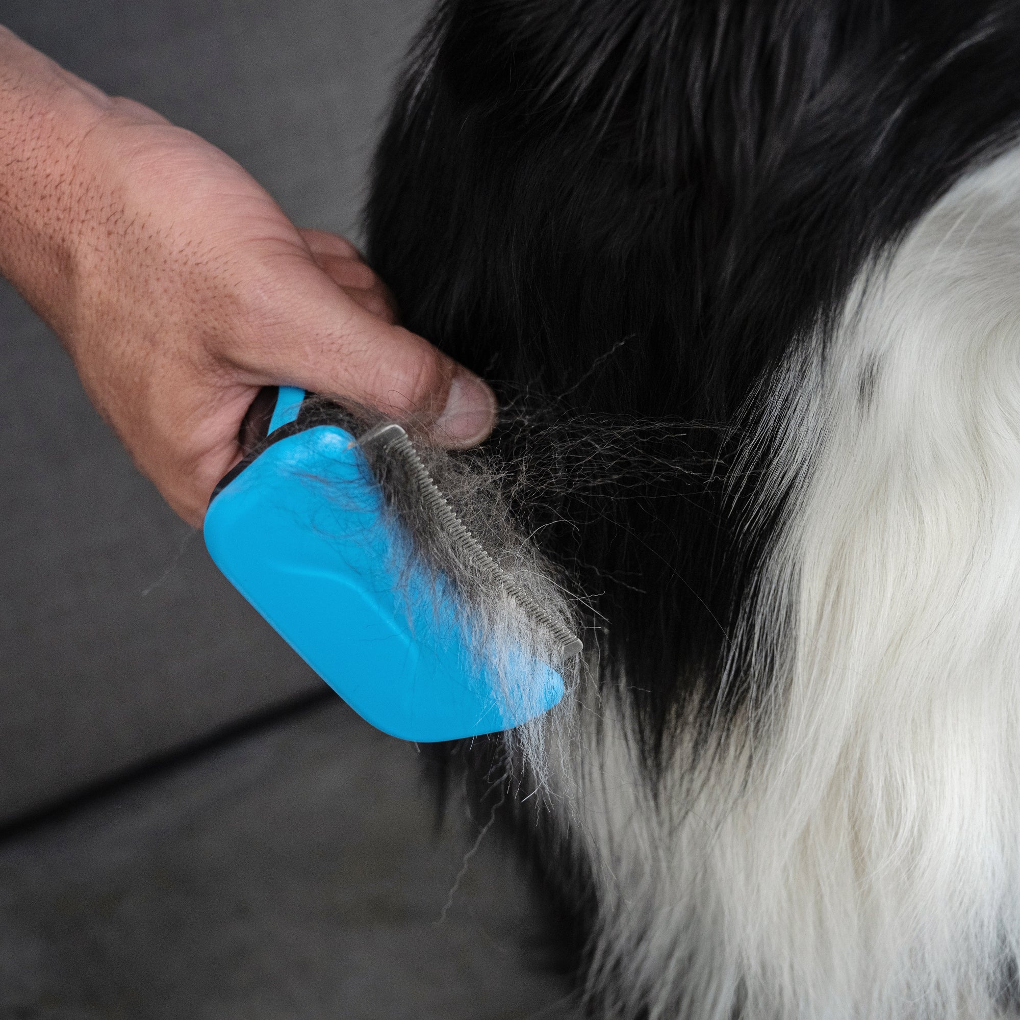 Deshedding Brush