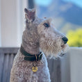 Load image into Gallery viewer, Sage Green Leather Dog Collar

