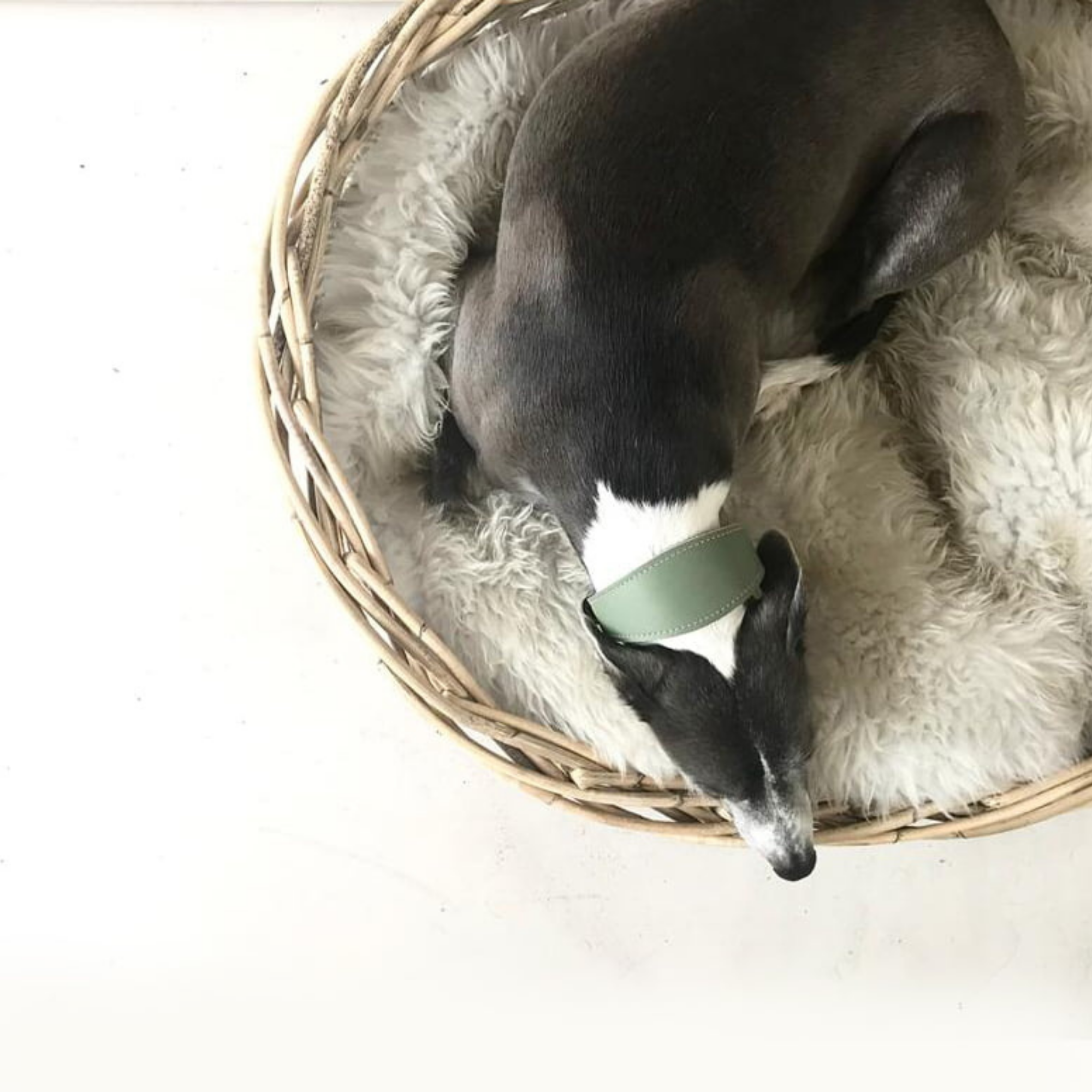 Genuine Sheepskin Rug