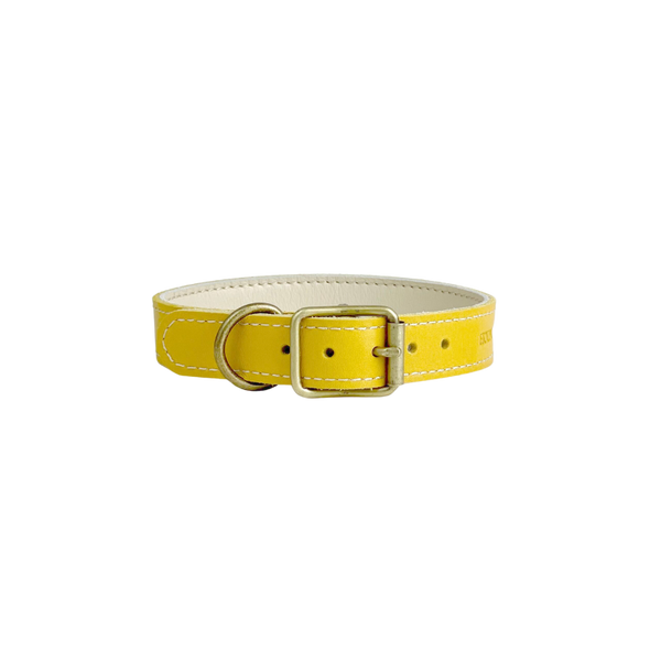 Ochre Yellow Leather Dog Collar