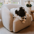 Load image into Gallery viewer, Dog lying on a plush armchair holding a toy in a cozy living room.
