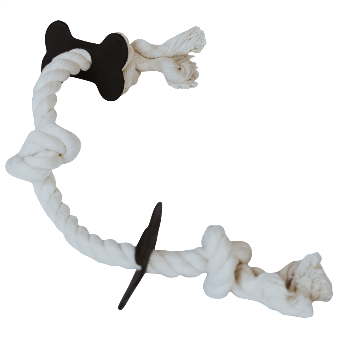 White rope dog chew toy with leather bone-shaped ends on a white background