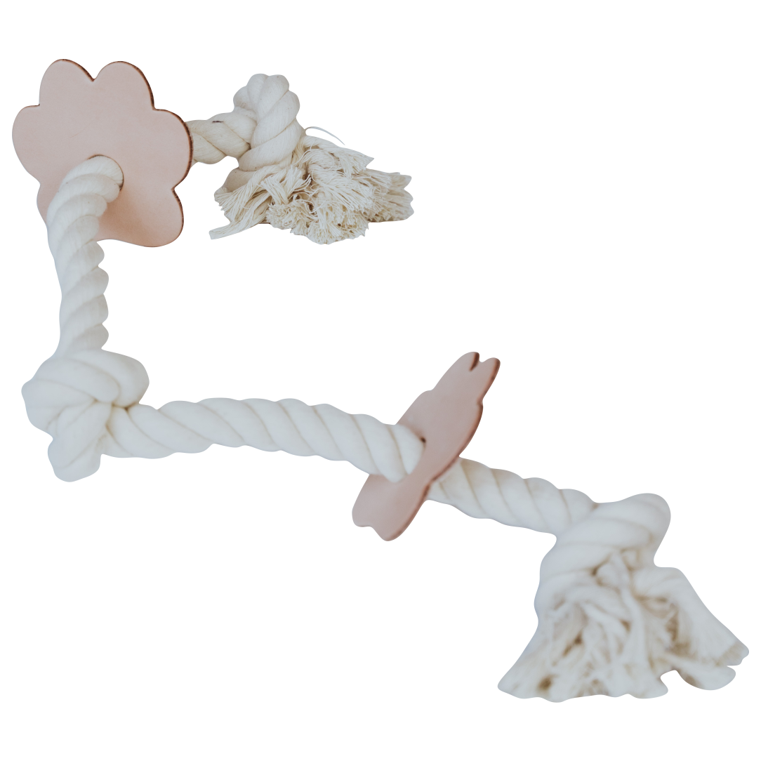 3 Knot Dog Rope + Leather Toy