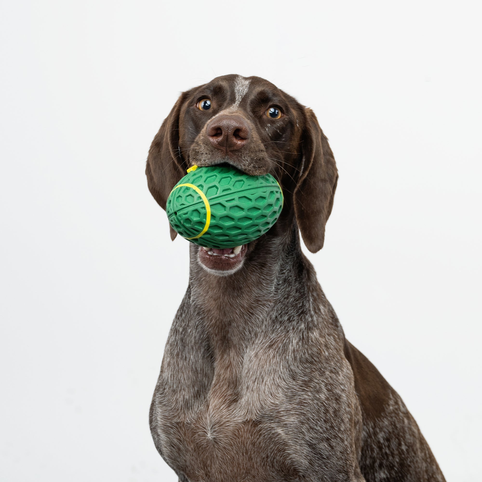Rugby Ball