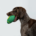 Load image into Gallery viewer, Rugby Ball
