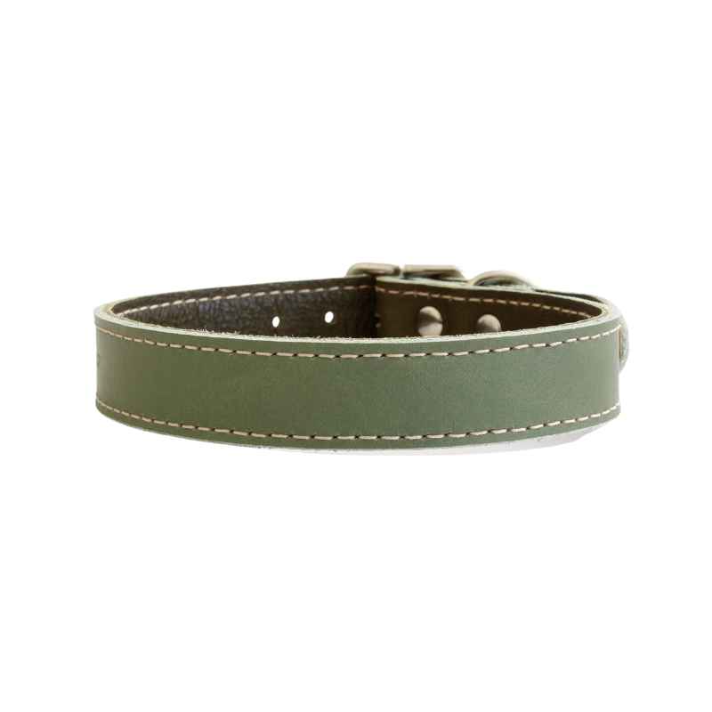 Sage Green Leather Dog Collar
