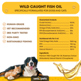 Load image into Gallery viewer, Omega-3 Oil
