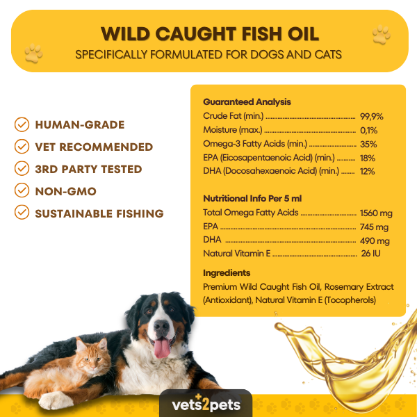 Omega-3 Oil