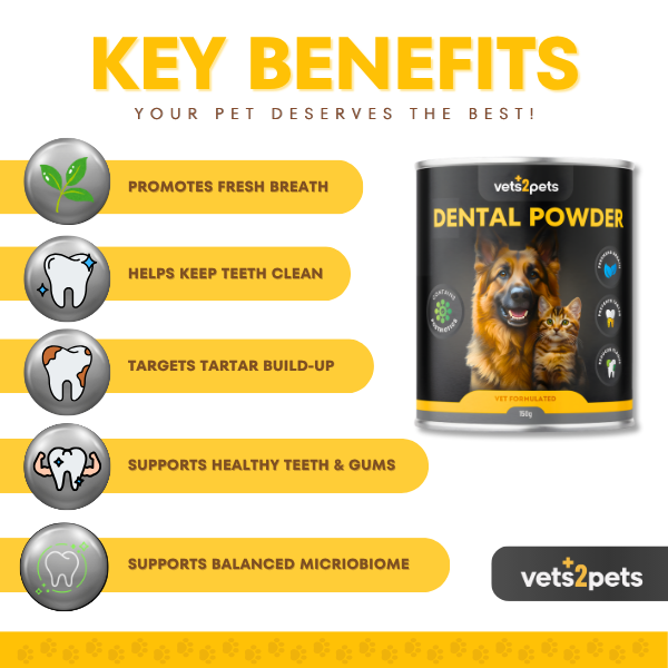 Dental Powder