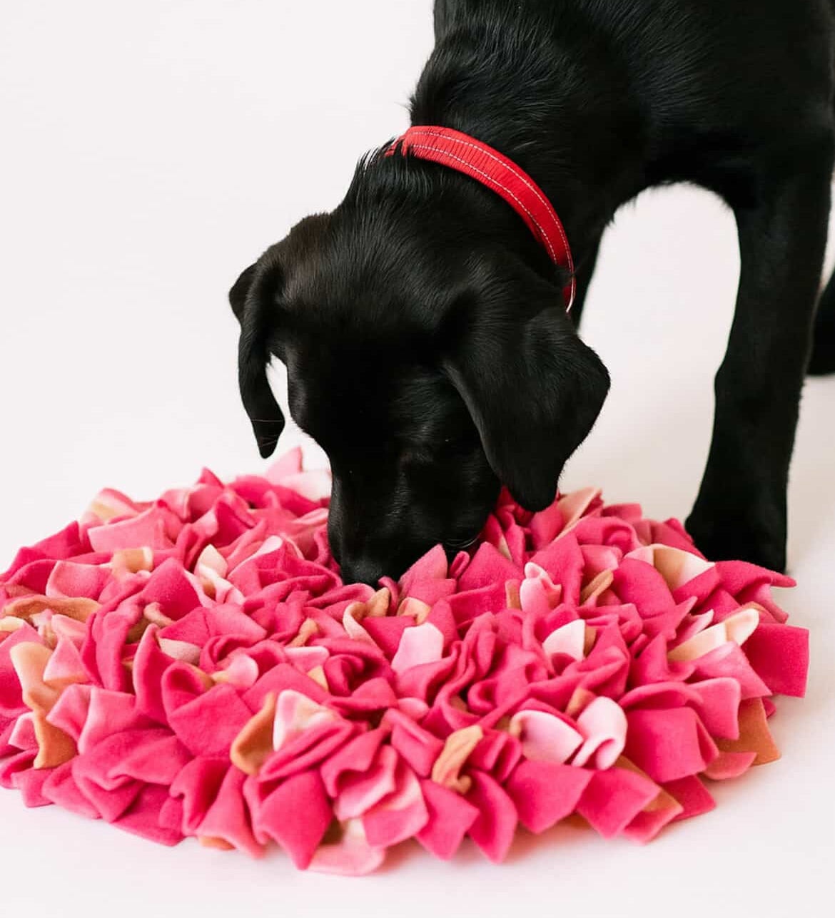 Snuffle Mat