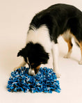 Load image into Gallery viewer, Snuffle Mat
