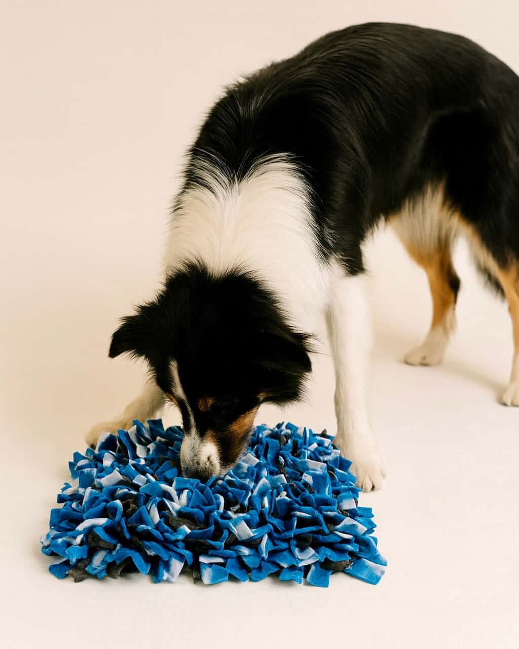 Snuffle Mat