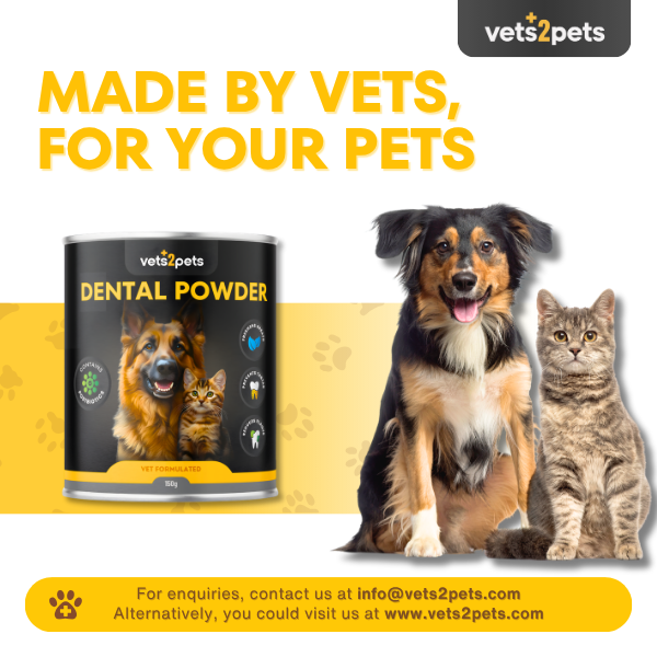 Dental Powder