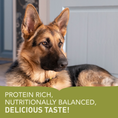 Load image into Gallery viewer, ACANA Adult Large Breed Recipe Dry Dog Food
