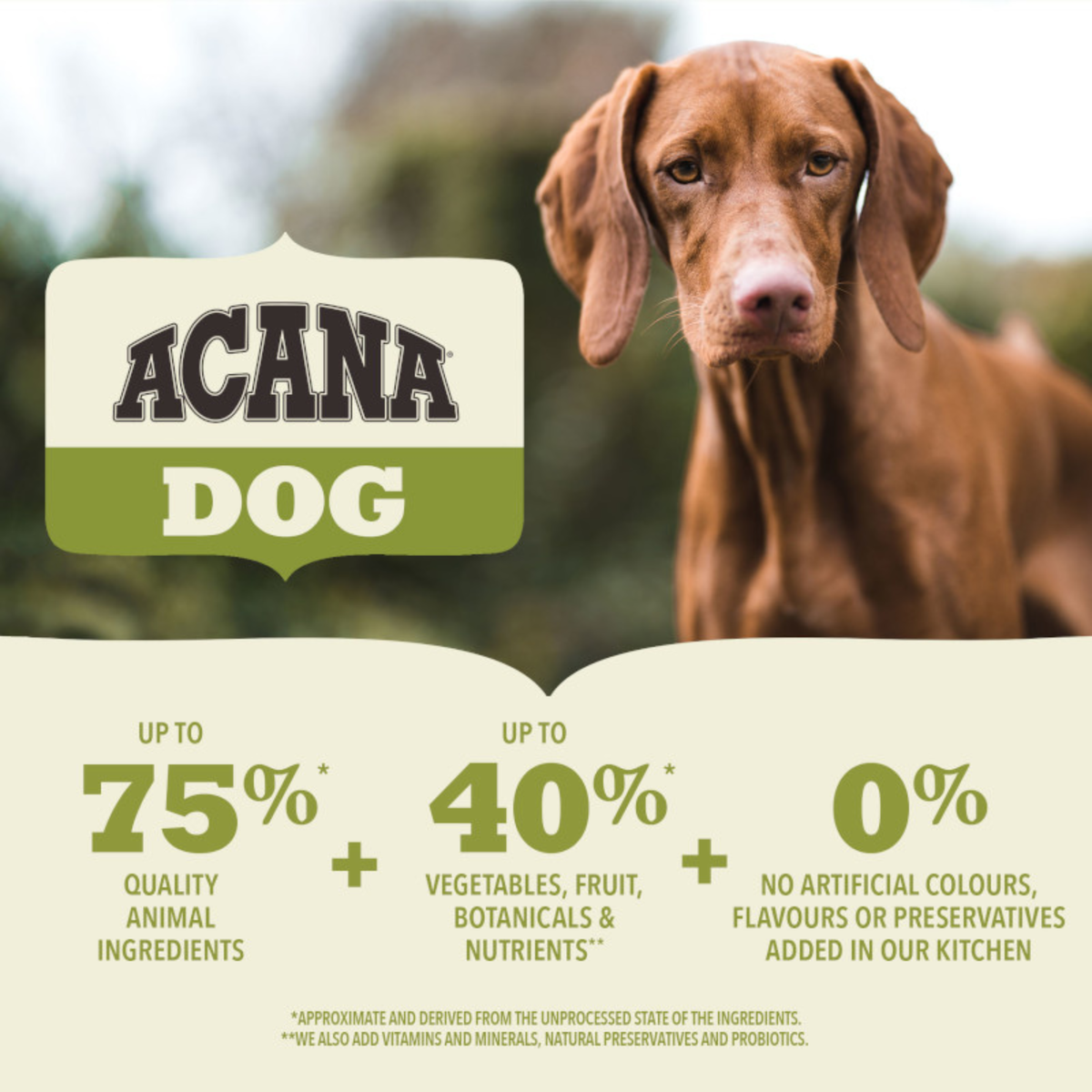 ACANA Small Breed Dry Dog Food | Adult