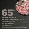 Load image into Gallery viewer, ACANA Light & Fit Dry Dog Food | Adult
