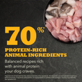 Load image into Gallery viewer, ACANA Puppy Recipe Dry Dog Food
