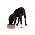 Load image into Gallery viewer, Aiko Dry Dog Food | Puppy
